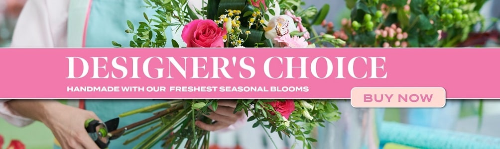 Designer's Choice Product Banner